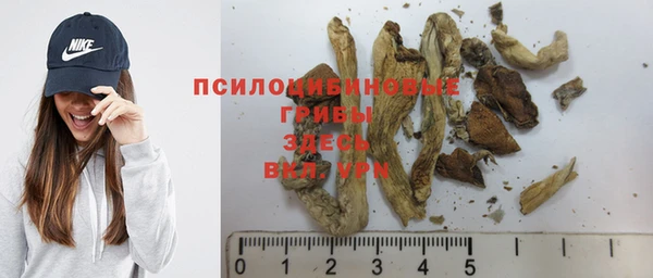 ECSTASY Верхний Тагил