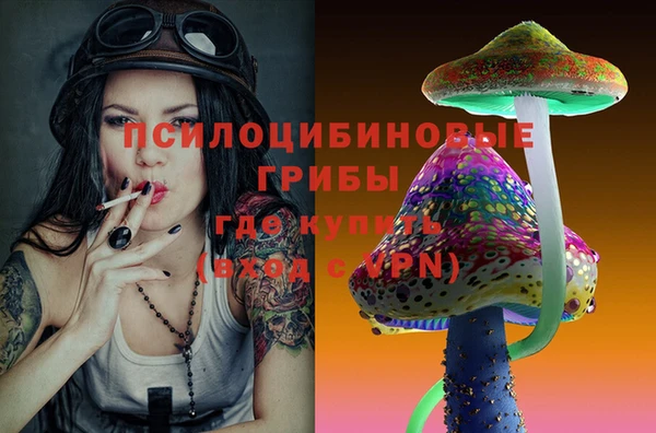 ECSTASY Верхний Тагил
